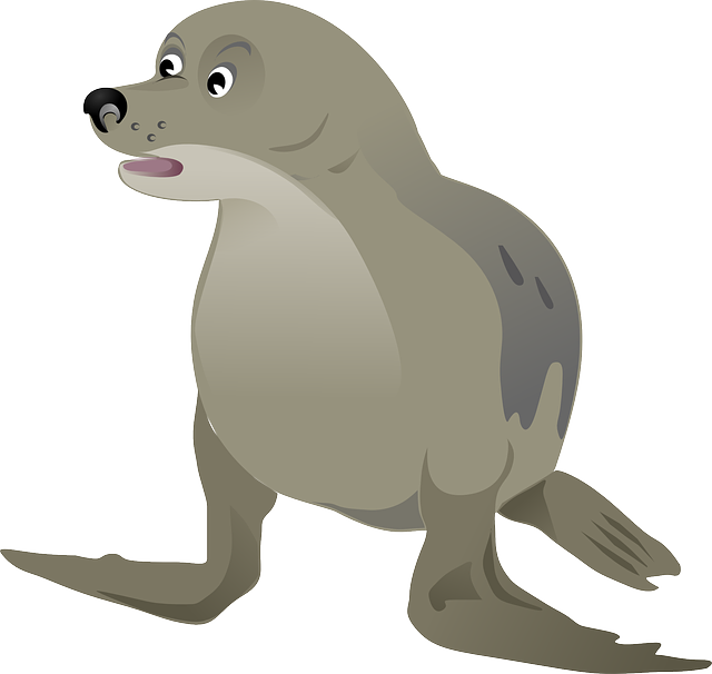 seal